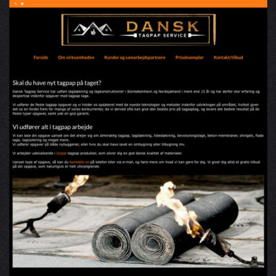 Dansk Tagpap Service